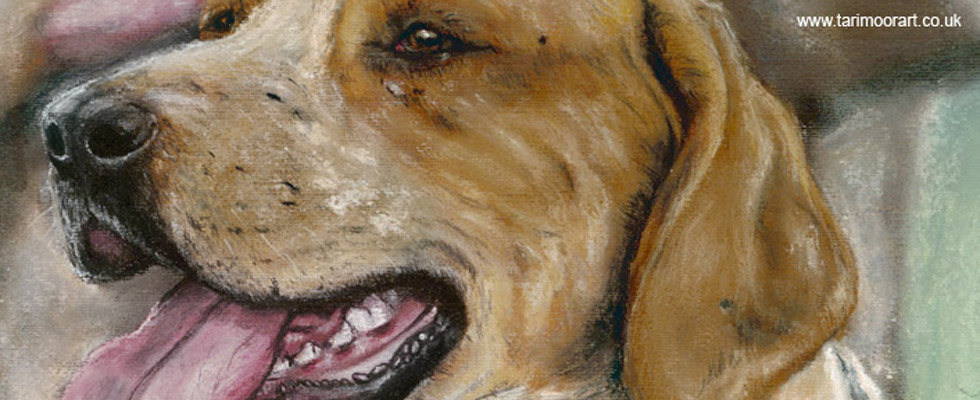 Old Master by Joanne Elrod of Tarimoor Art - www.tarimoorart.co.uk